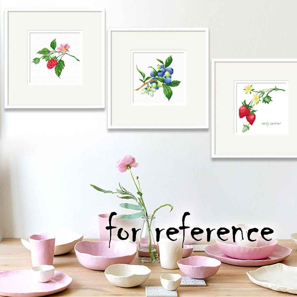 Small Size Strawberry Set DIY 11CT Cross Stitch Kits Pre-Printed Embroidery for Beginners, 9x9 inch